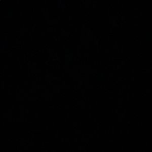 Meet your Posher, Maya